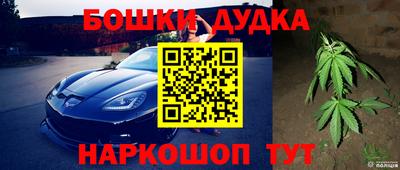 спиды Тула