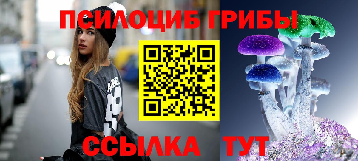 Галлюциногенные грибы прущие грибы  Вход с VPN  Кстово 